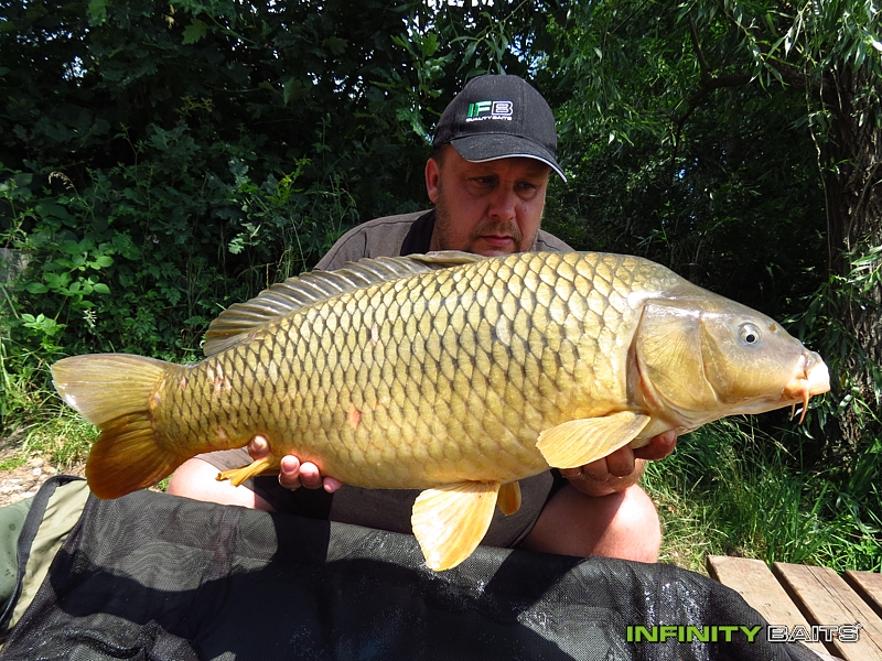 report Švestkobraní II Infinity Baits