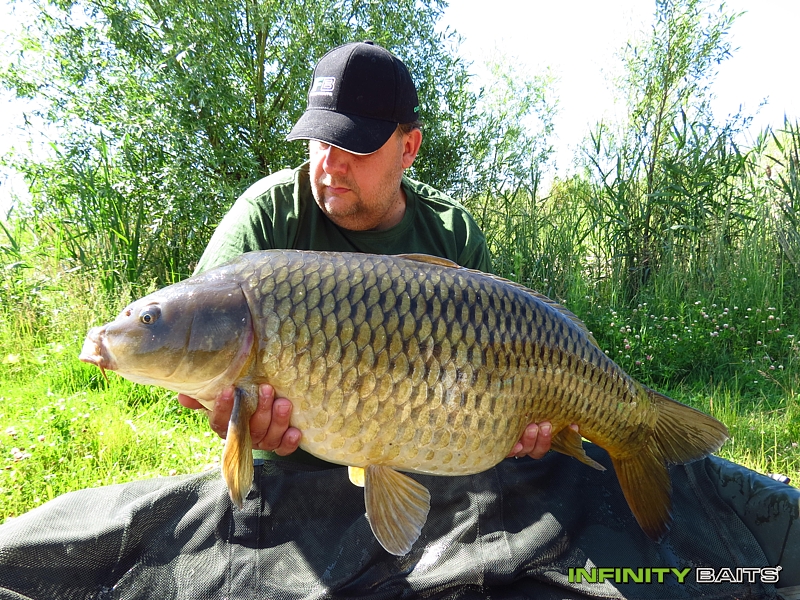 report Švestkobraní II Infinity Baits