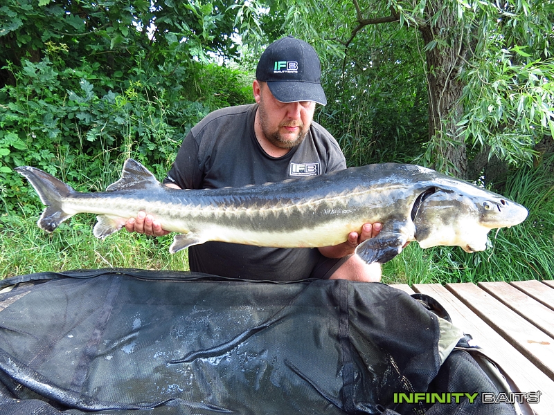 report Švestkobraní II Infinity Baits