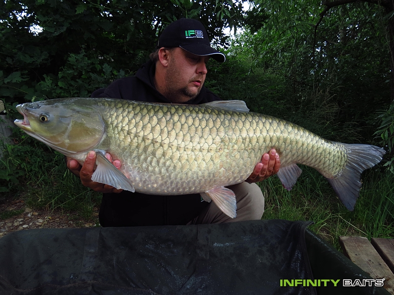 report Švestkobraní II Infinity Baits