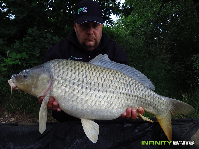 report Švestkobraní II Infinity Baits