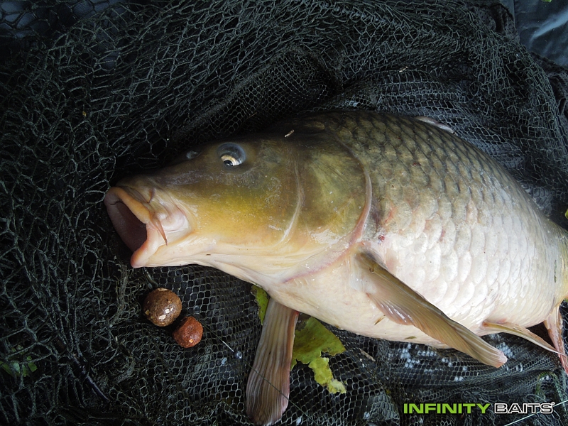 report První setkání s N1 Infinity Baits
