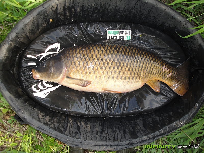 klikni pro zvětšení report Po velikonocích Infinity Baits