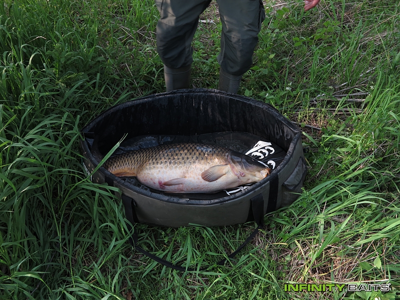 klikni pro zvětšení report Po velikonocích Infinity Baits