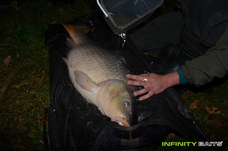report Zase jinde Infinity Baits