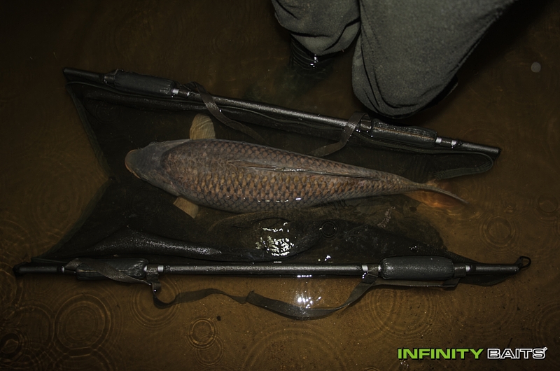 report Zase jinde Infinity Baits