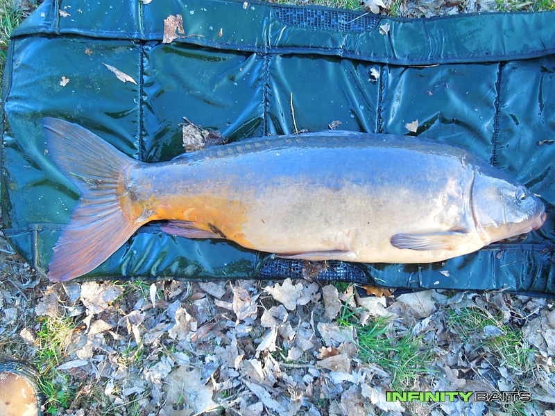 report První dubnová Infinity Baits