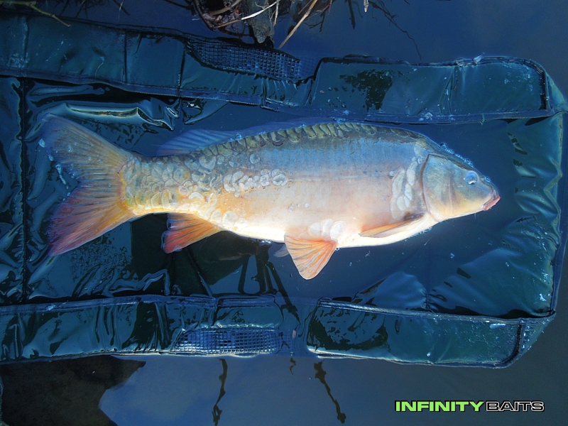 report První dubnová Infinity Baits