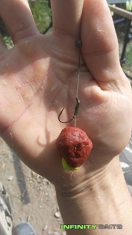 klikni pro zvětšení report Smoked Salmon boduje Infinity Baits