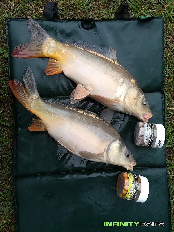 klikni pro zvětšení report Neodolatelný česnek Infinity Baits