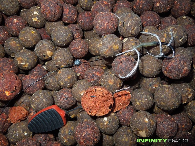 Report Podzimní rychlokvka Infinity Baits