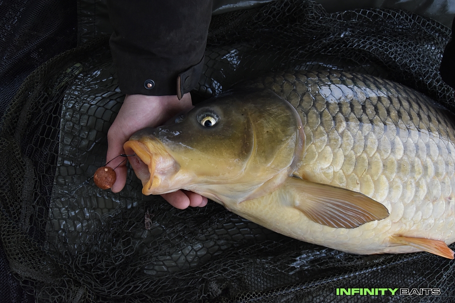 report První dubnové zářezy Infinity baits