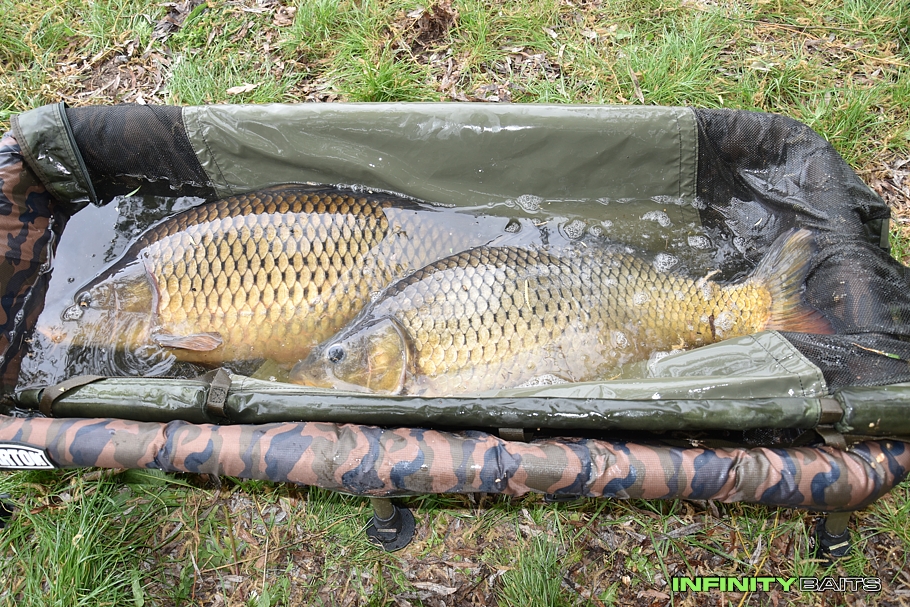 klikni pro otevření report Duben podruhé Infinity Baits