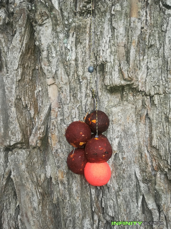 report Rybaření se školou Infinity Baits