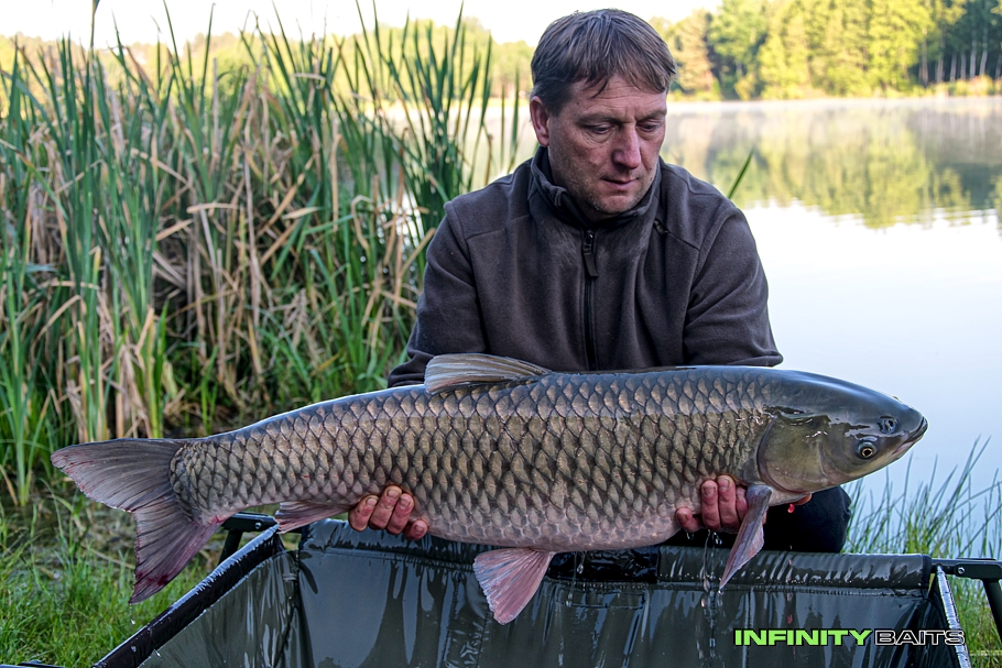 report Tradiční sraz IFB 2019 Infinity Baits