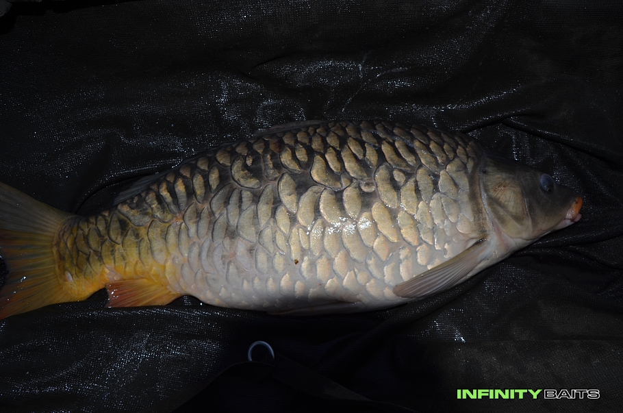 klikni pro zvětšení report Jarní mise Infinity Baits