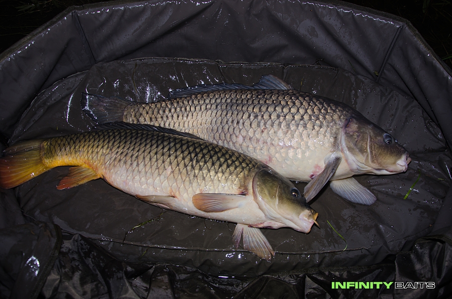 klikni pro zvětšení report Jarní mise Infinity Baits