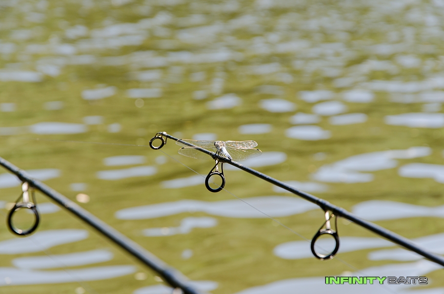 klikni pro zvětšení report Jarní mise Infinity Baits