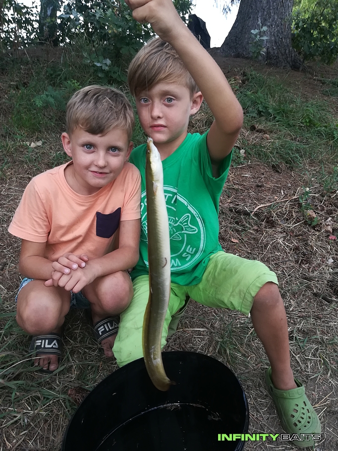 report Poprvé na LAbi s IFB Infinity Baits