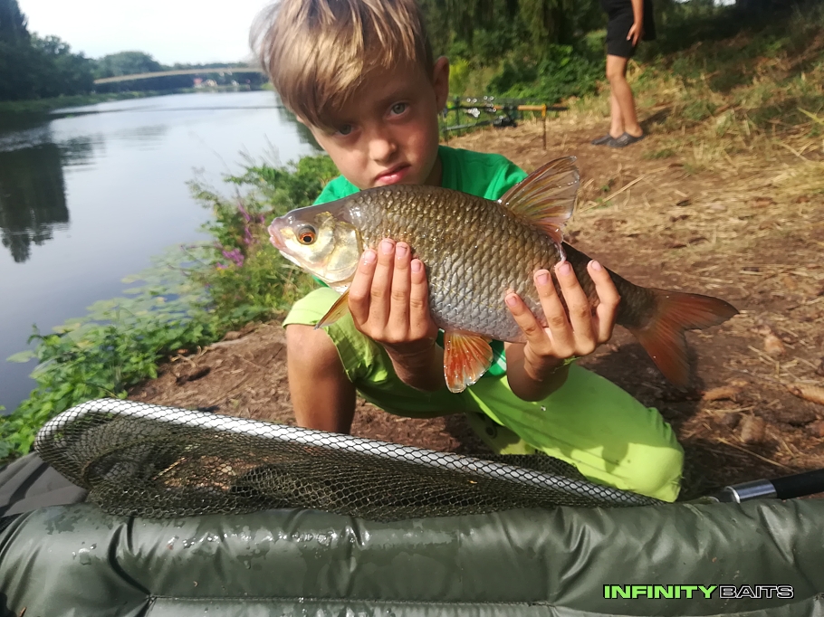 report Poprvé na Labi s IFB Infinity Baits