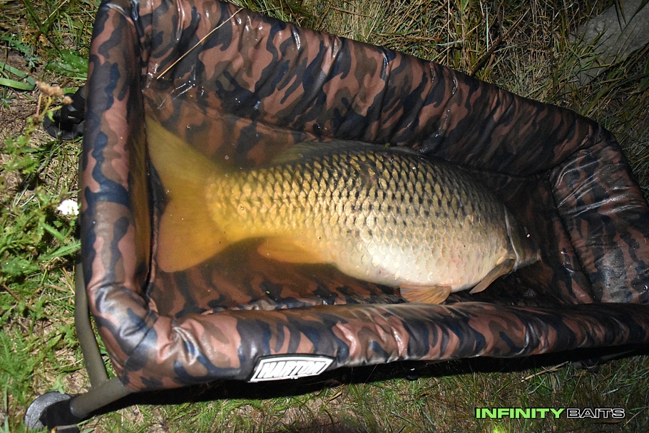 report První podzimní šupiny Infinity Baits