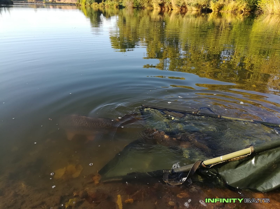 report Zářijový víkend u vody Infinity Baits