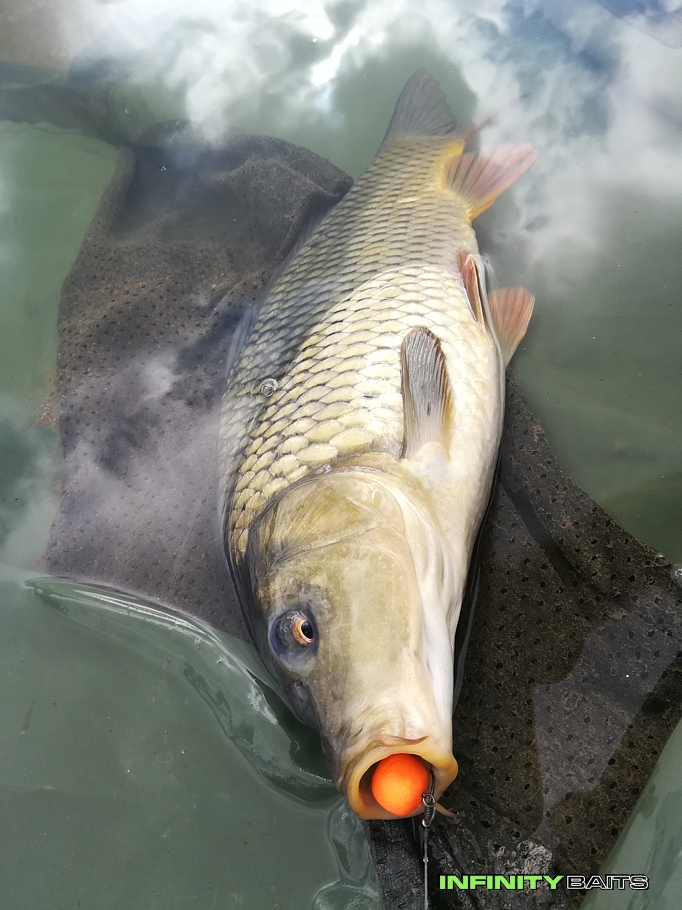 report Zářijový víkend u vody Infinity Baits