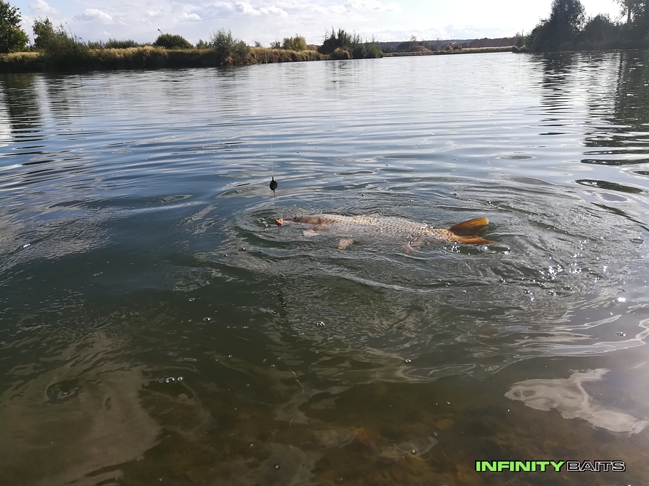 report Zářijový víkend u vody Infinity Baits