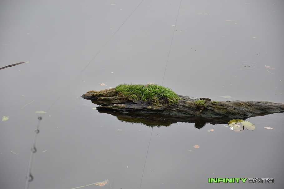 report Popracovní rychlovky Infinity Baits