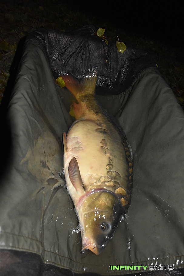 report Popracovní rychlovky Infinity Baits