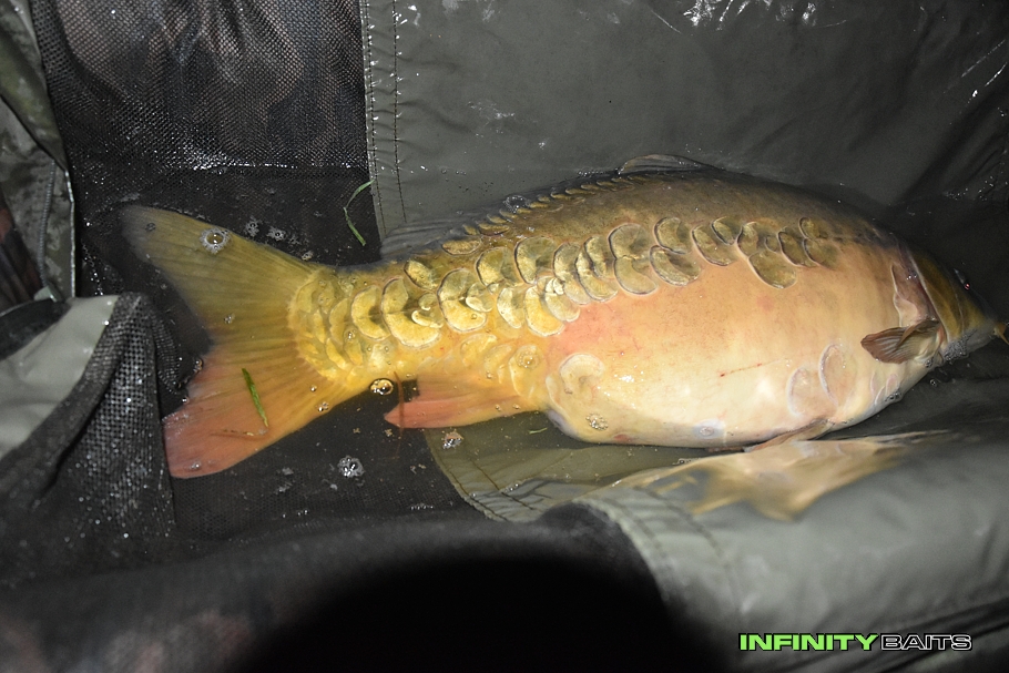 report Popracovní rychlovky Infinity Baits