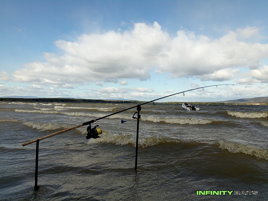 report Zemplínský kapor 2019 Infinity Baits
