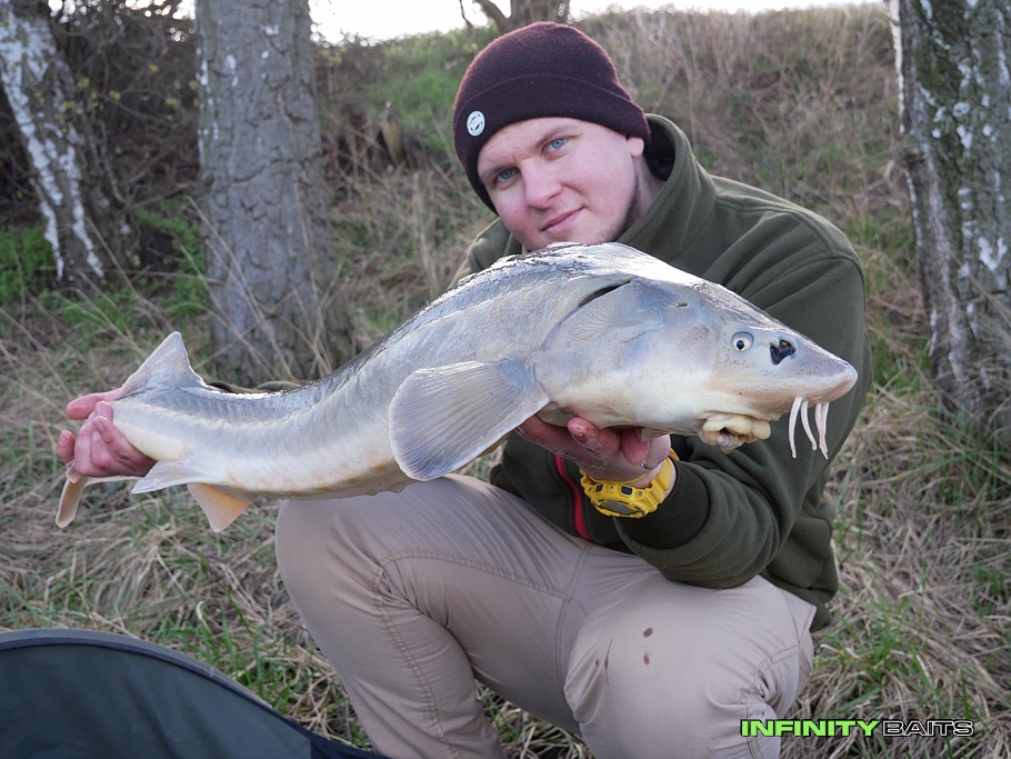 report Únik z reality Infinity Baits