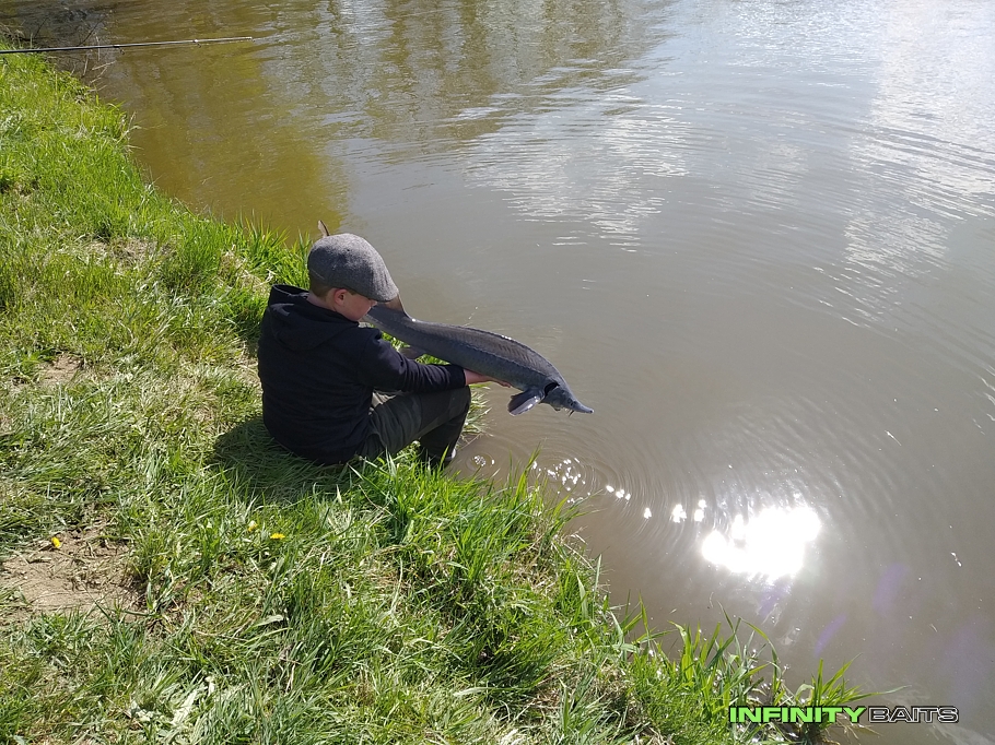 report Nejen kapři vědí Infinity Baits