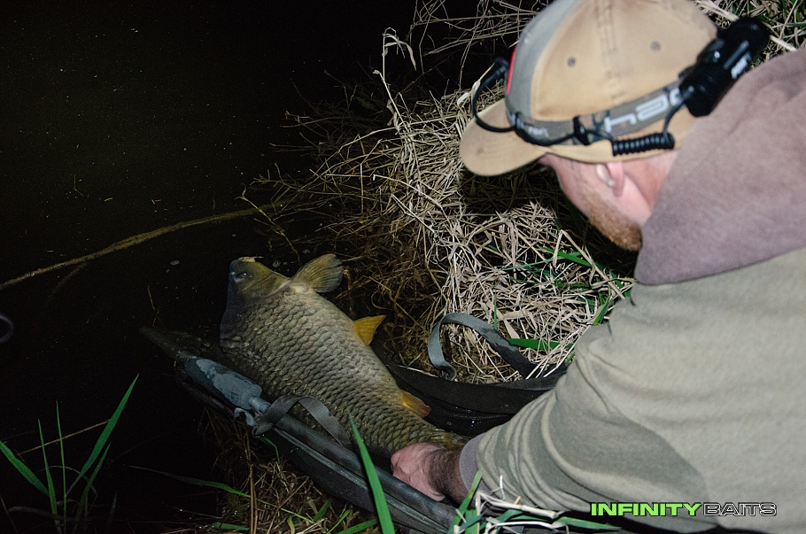 report Kapři tam výš Infinity Baits