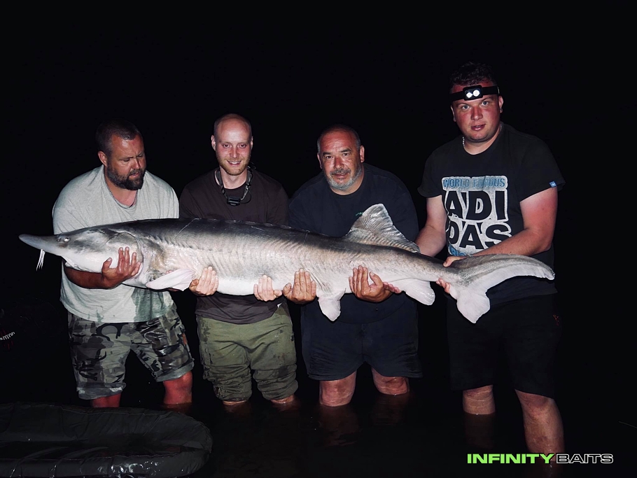 report Tradiční sraz IFB 2020 Infinity baits