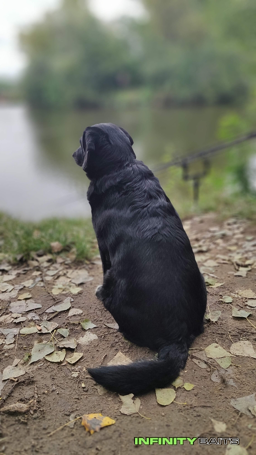 report Poslední prázdninový Infinity baits