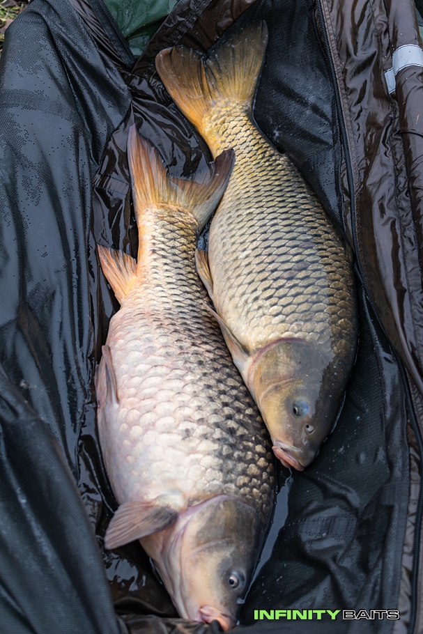 report Podzimní krůčky II Infinity Baits