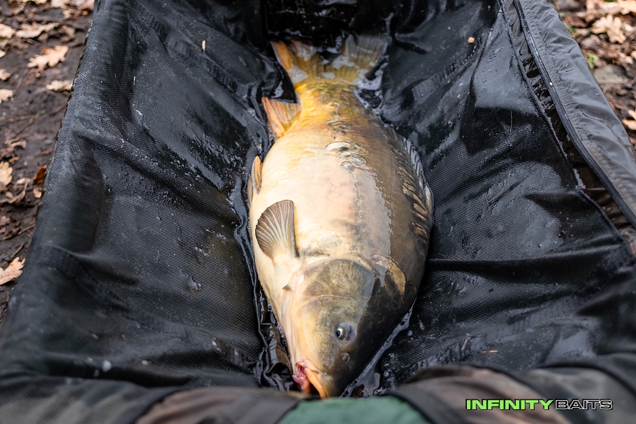 report Podzimní krůčky II Infinity Baits