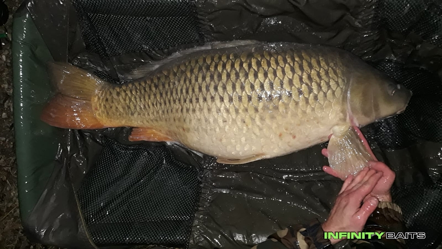 report Úspěšných 40 hodin Infinity Baits