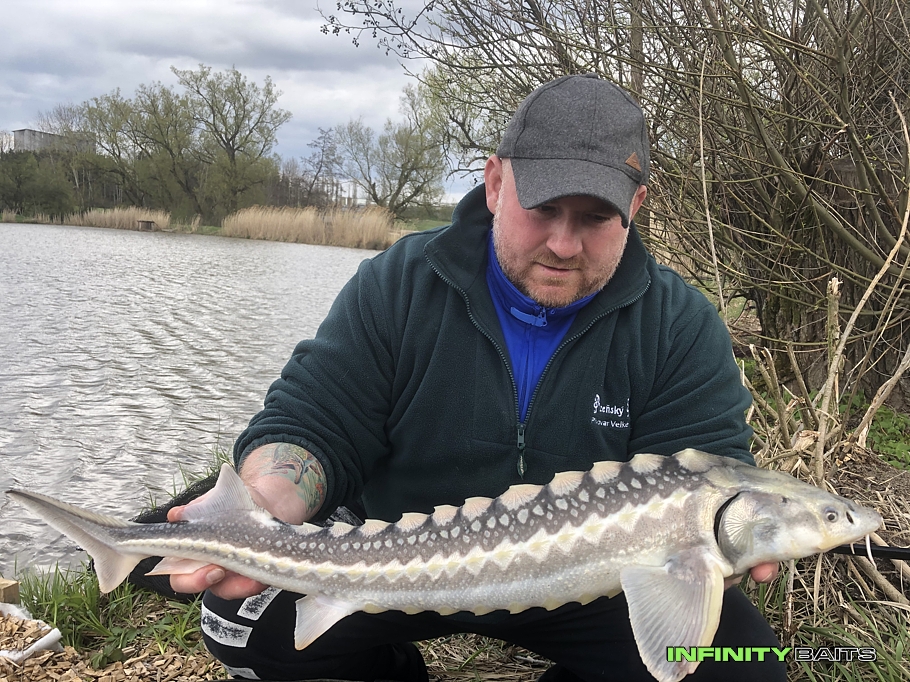 report Květnové zahájení Infinity baits