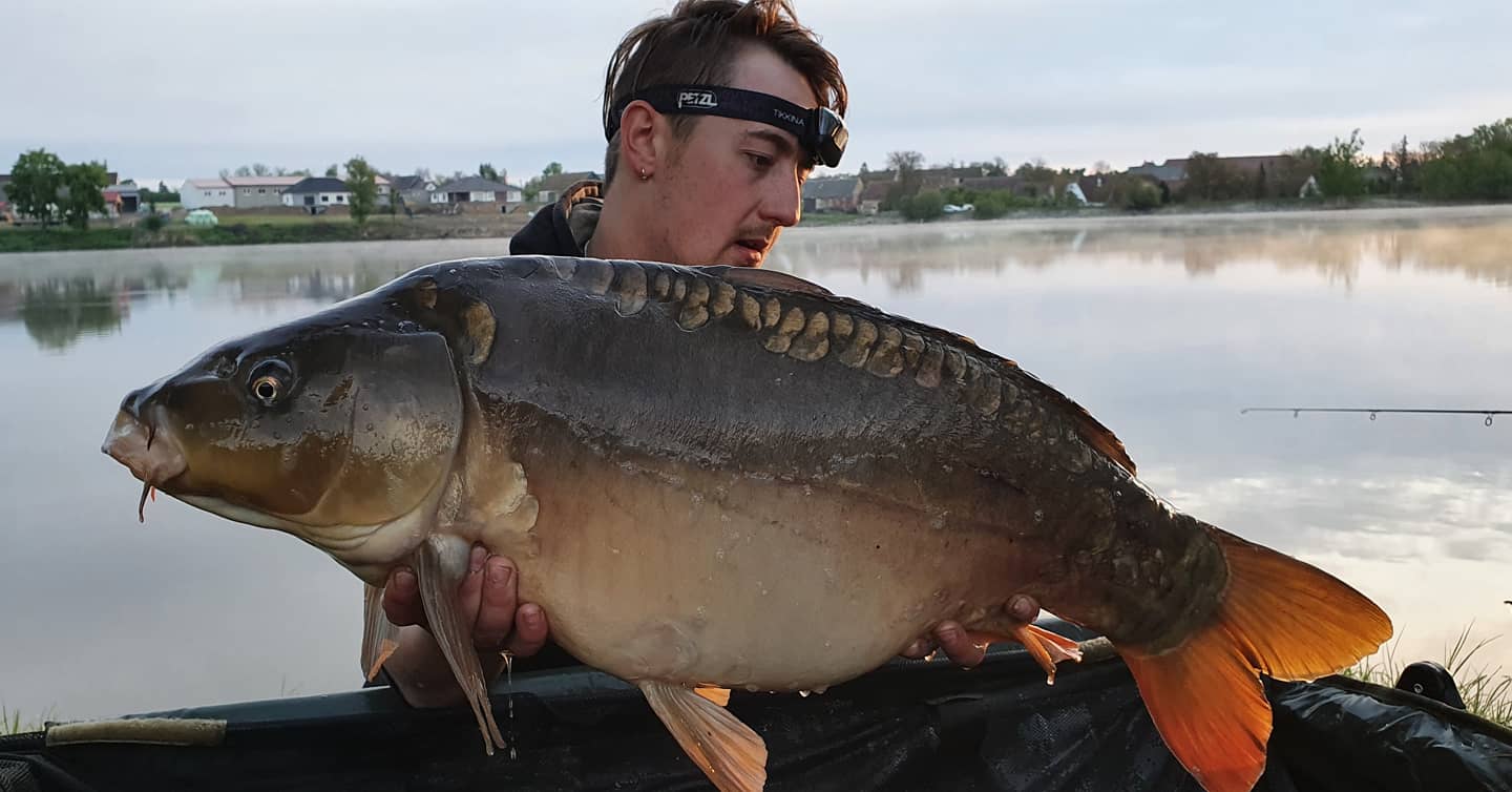 report Pinky boduje Infinity baits