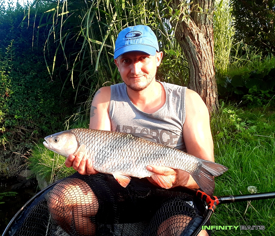 report Method feeder pelety Infinity Baits