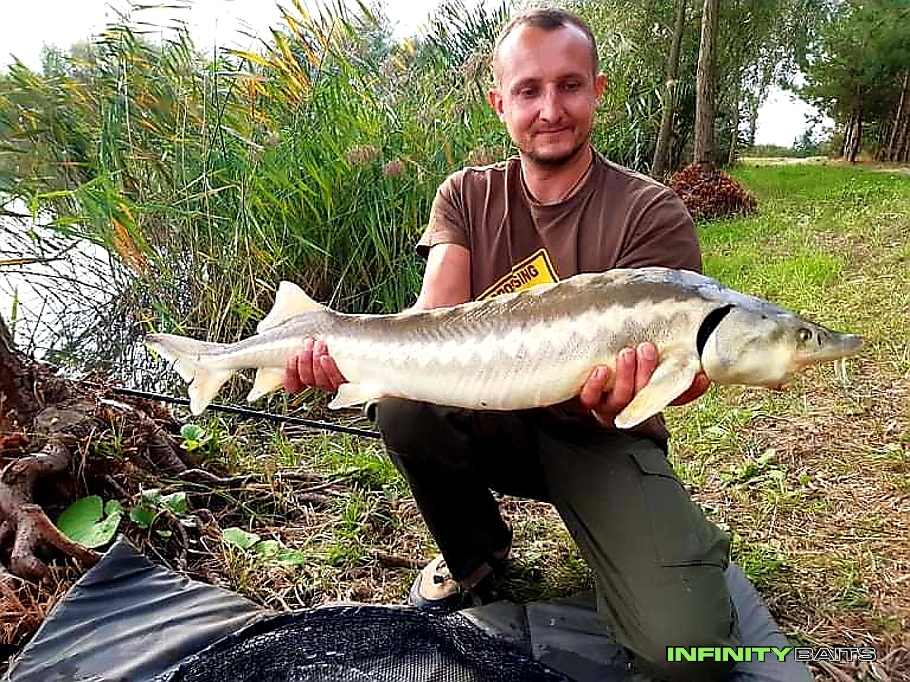 report Pískovna s methodfeederem Infinity Baits