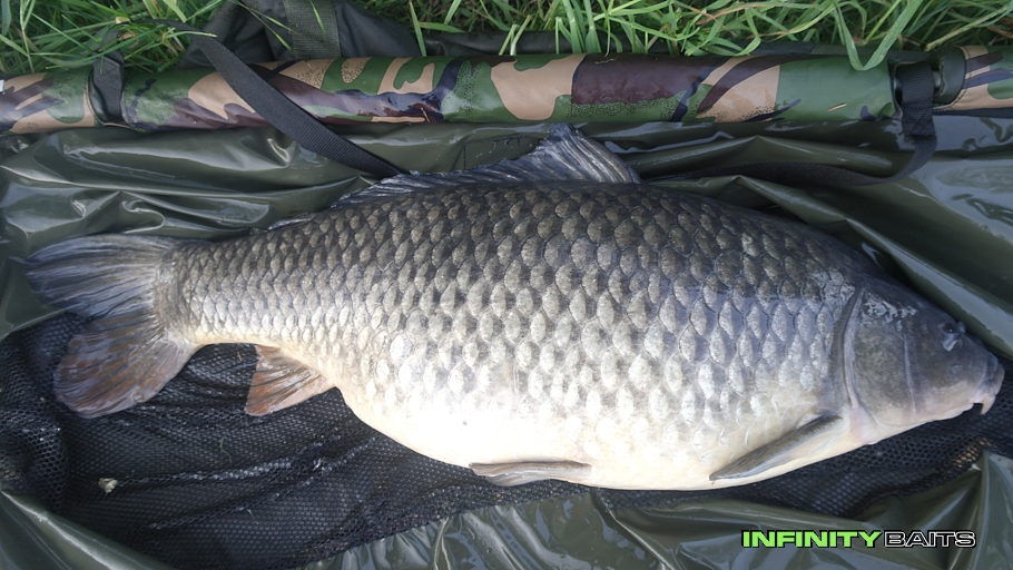 report Jarní trápení Infinity Baits