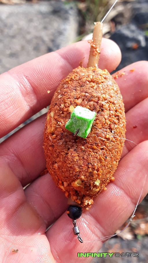 report Podzimní method feeder Infinity baits