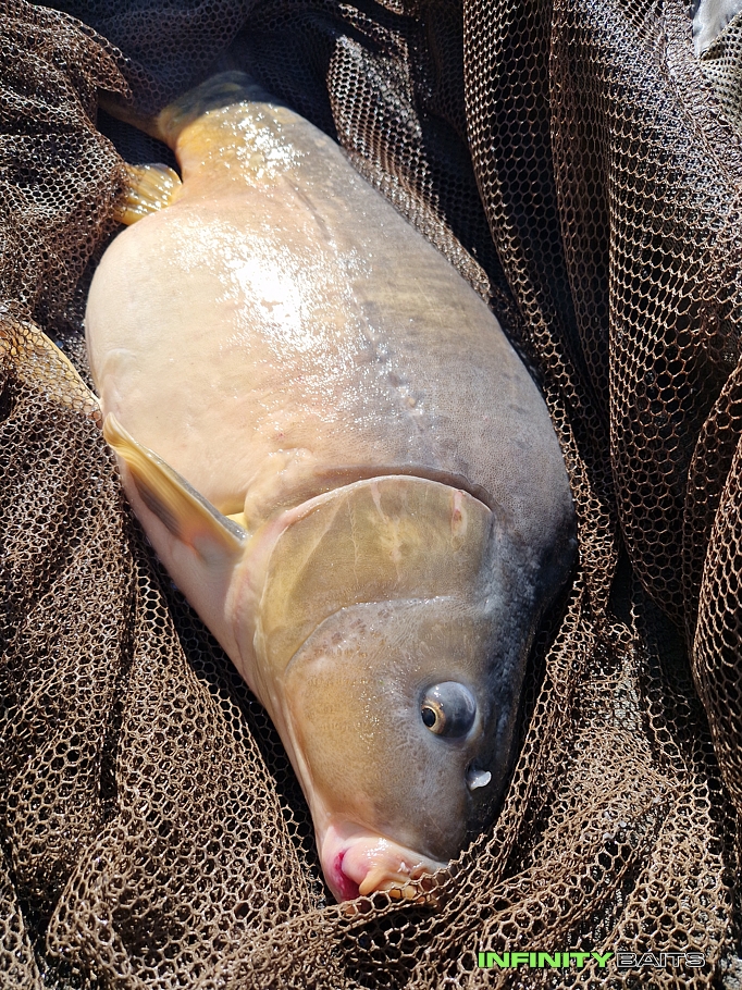 report Výprava na lodi Infinity Baits
