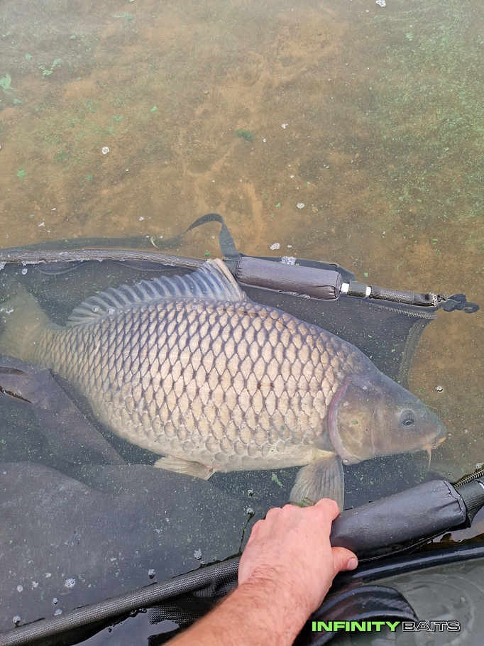 report Výprava na lodi Infinity Baits