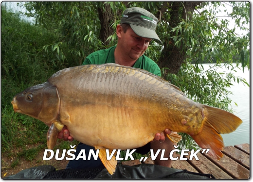 Profil Dušan Vlk