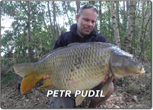 Profil Petr Pudil